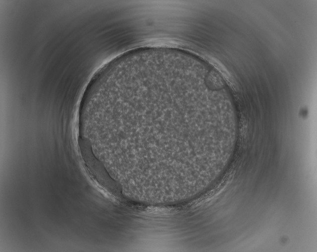 X0000116770840201001141449
