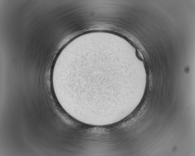 X0000116770842201001141449
