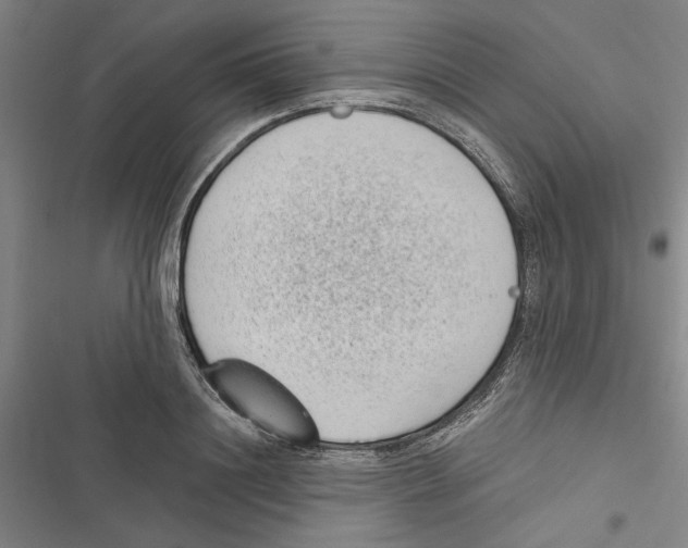 X0000116770844201001141449