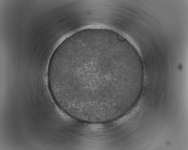 X0000116770845201001141449