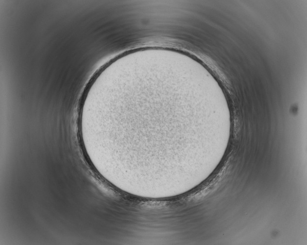 X0000116770846201001141449