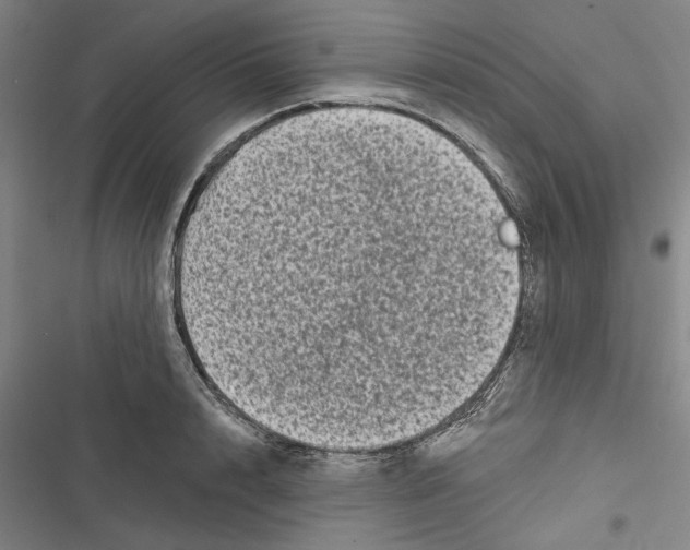 X0000116770848201001141449