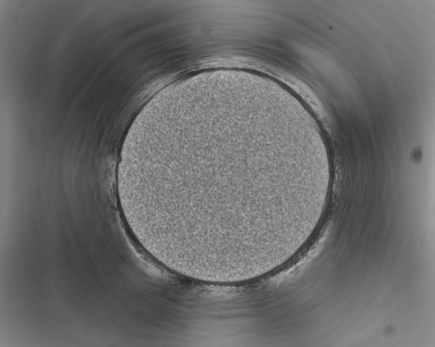 X0000116770849201001141449