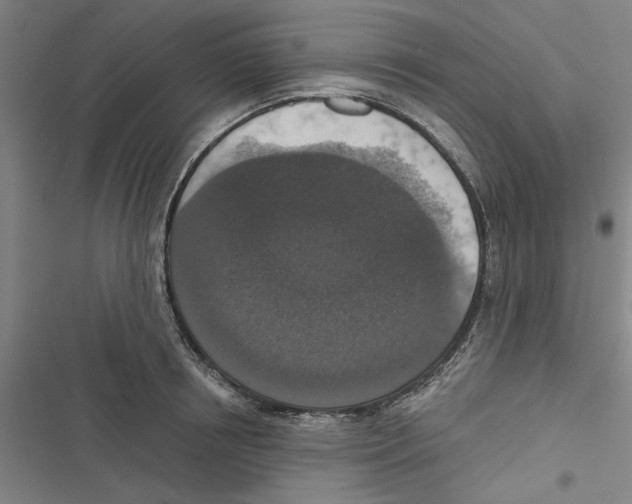 X0000116770850201001141449