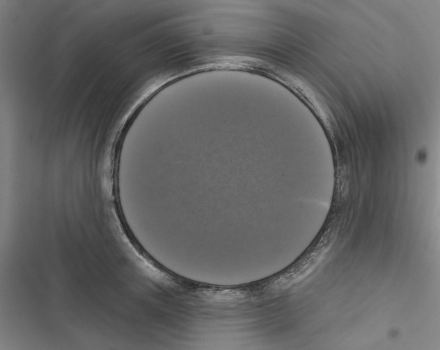 X0000116770851201001141449