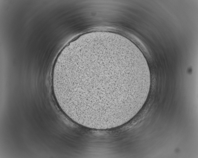 X0000116770852201001141449