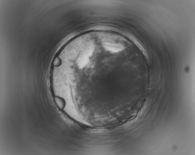 X0000116770853201001141449