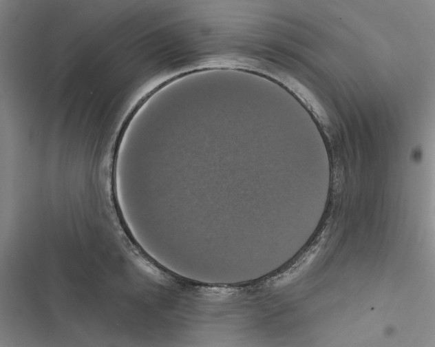 X0000116770854201001141449
