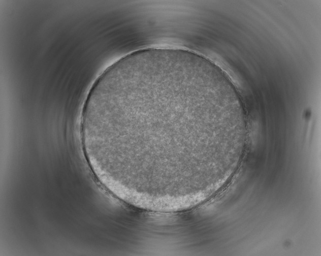 X0000116770856201001141449