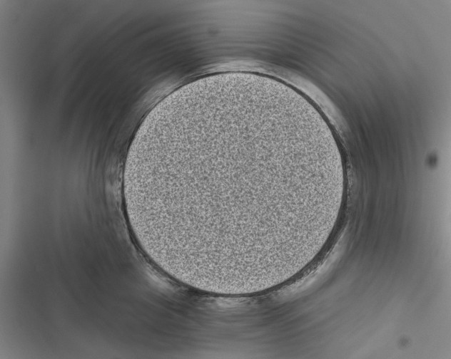 X0000116770857201001141449