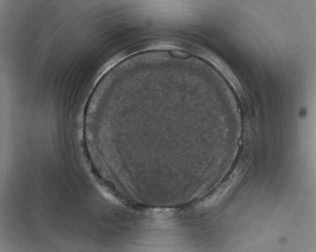 X0000116770858201001141449