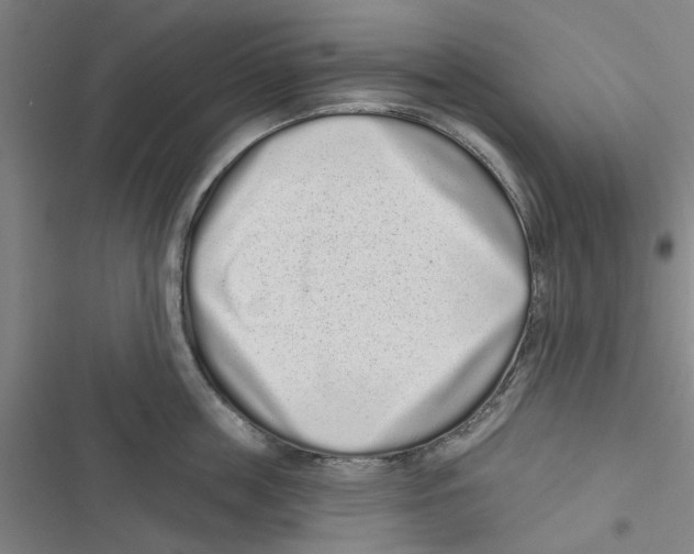X0000116770859201001141449