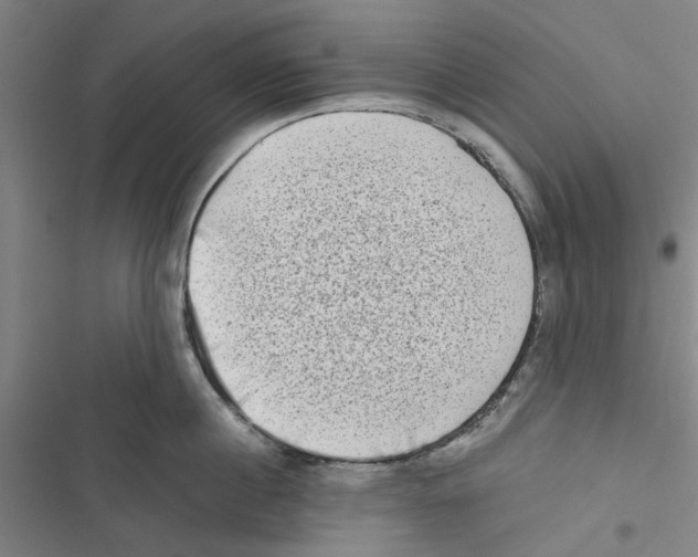 X0000116770860201001141449