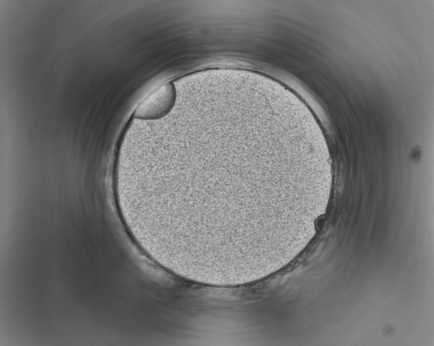 X0000116770861201001141449