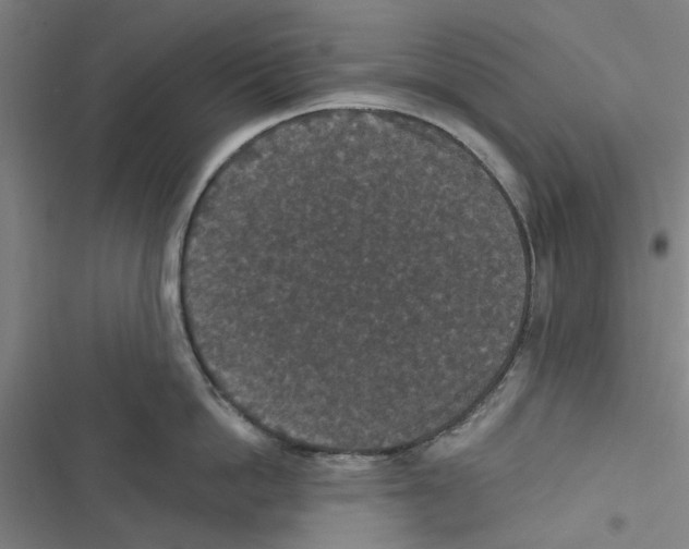 X0000116770862201001141449