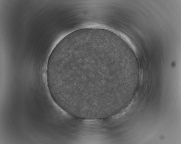 X0000116770863201001141449
