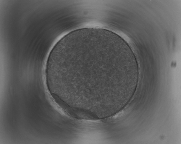 X0000116770864201001141449