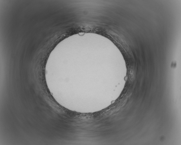 X0000116770865201001141448