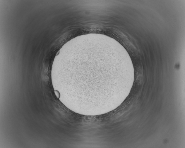 X0000116770866201001141448