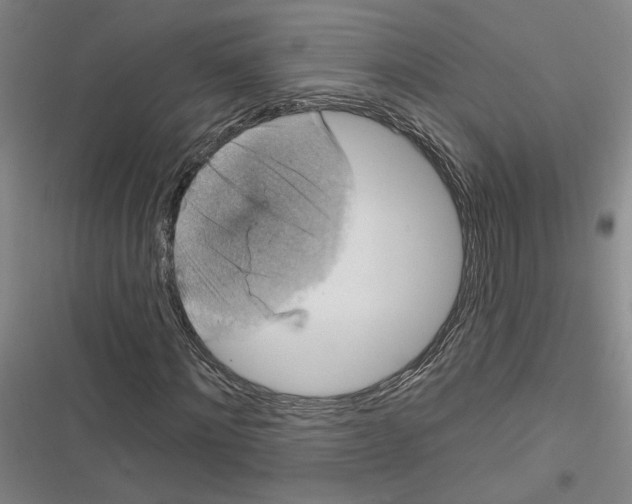 X0000116770868201001141448