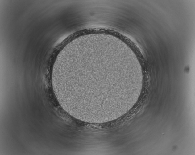 X0000116770871201001141448