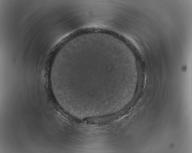 X0000116770872201001141448