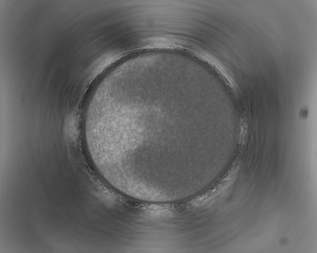 X0000116770874201001141448