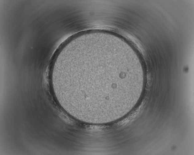 X0000116770875201001141448