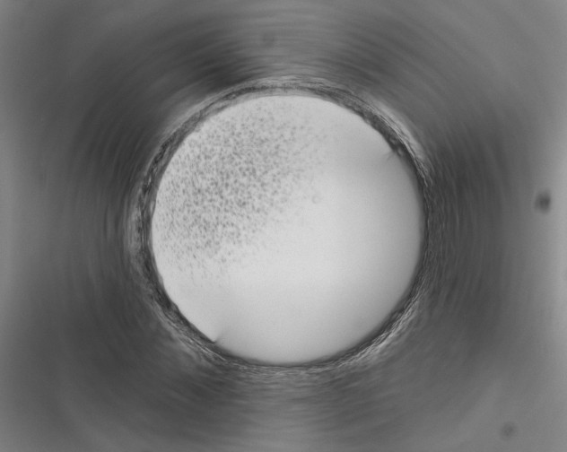 X0000116770876201001141448