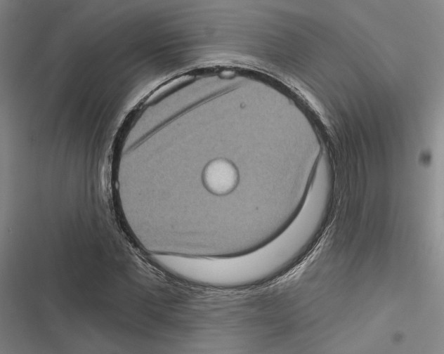 X0000116770877201001141448