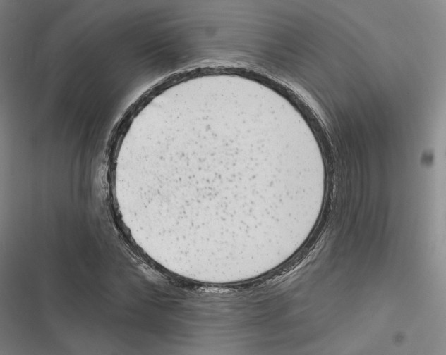 X0000116770878201001141448