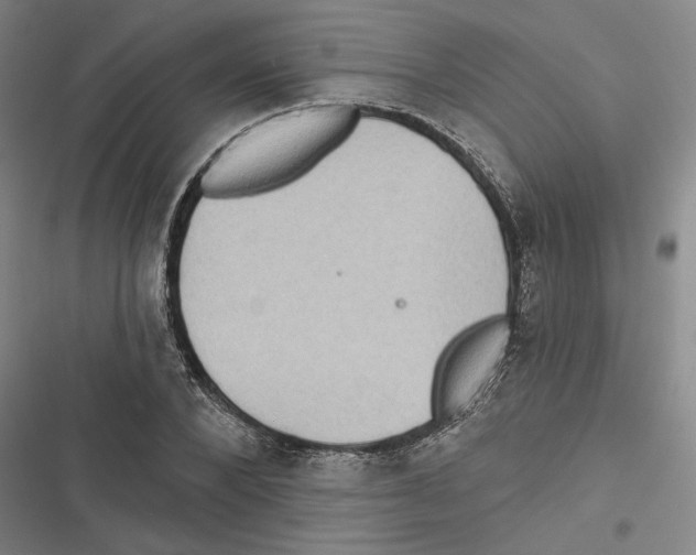X0000116770880201001141448
