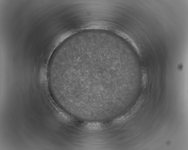 X0000116770882201001141448