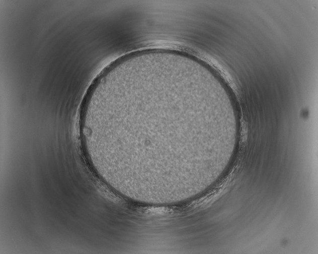 X0000116770883201001141448