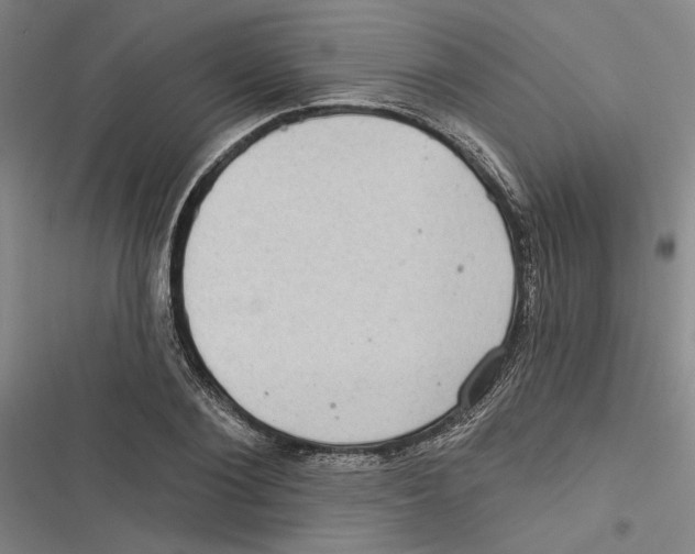 X0000116770884201001141448