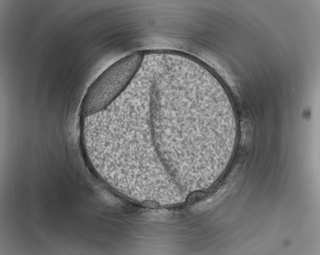 X0000116770885201001141448