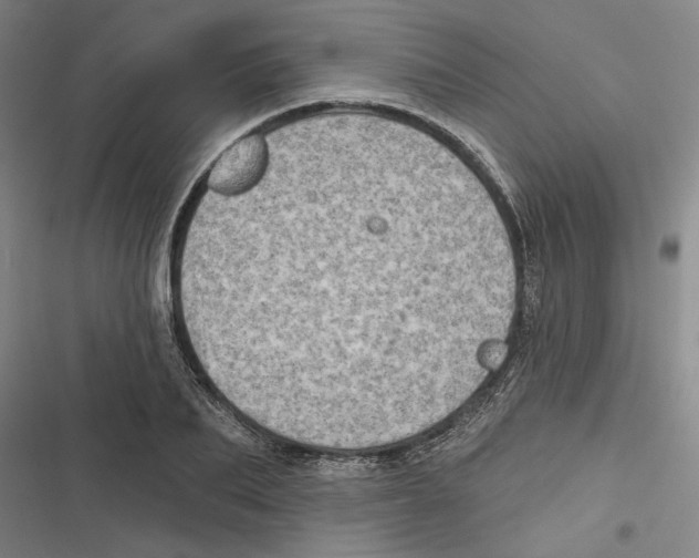 X0000116770887201001141448