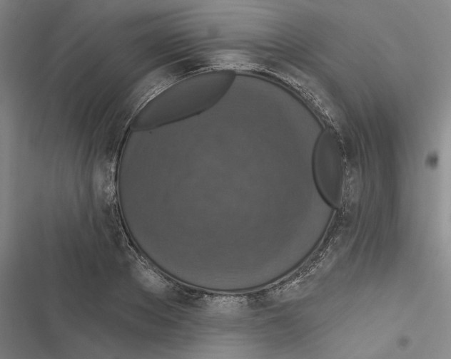 X0000116770889201001141448