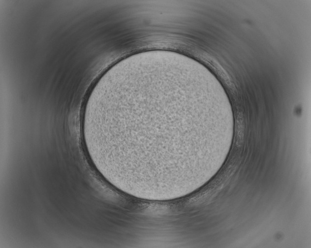X0000116770890201001141448