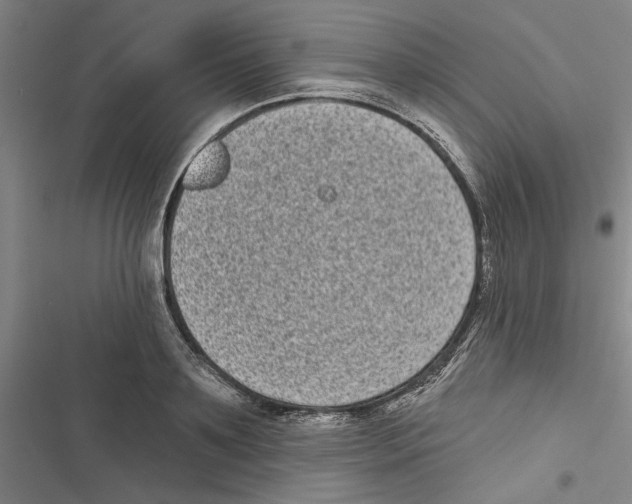 X0000116770891201001141448
