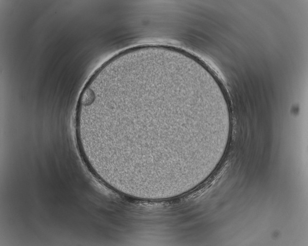 X0000116770895201001141448