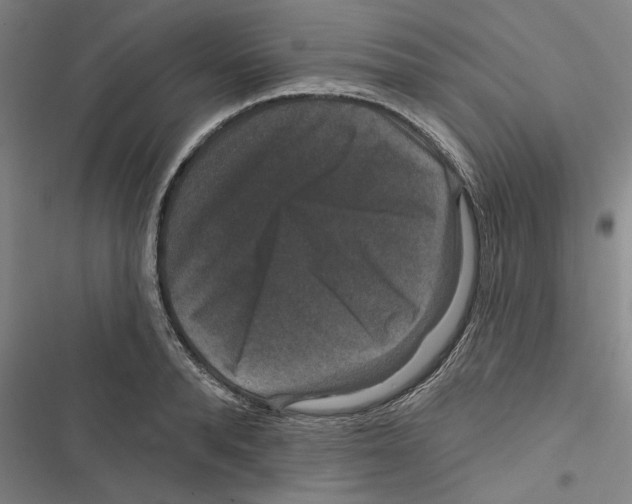 X0000116770896201001141448