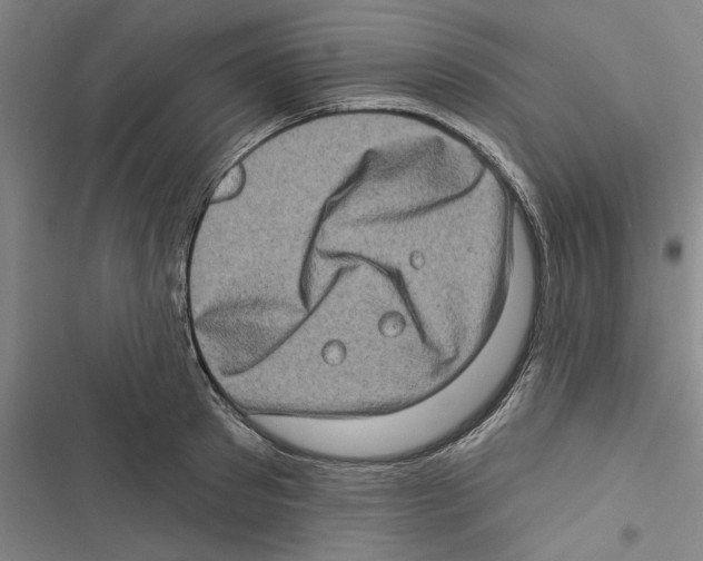 X0000116770897201001141448