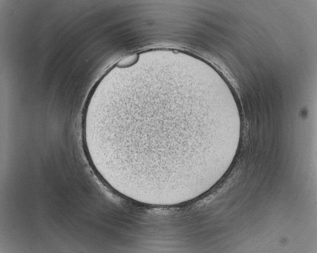 X0000116770898201001141448