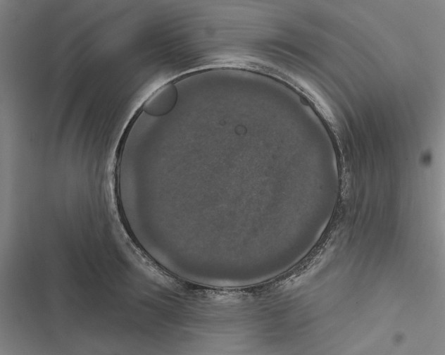 X0000116770899201001141448