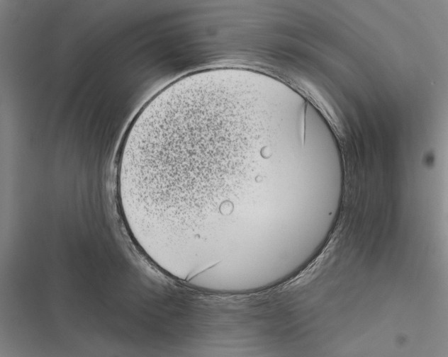 X0000116770900201001141448