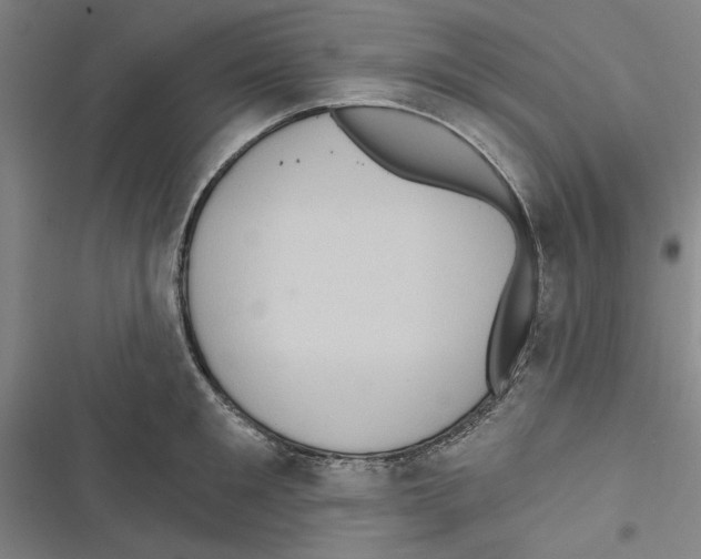 X0000116770901201001141448
