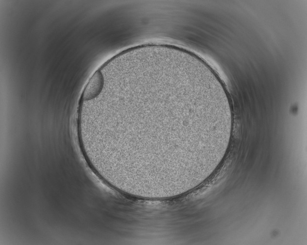 X0000116770903201001141448
