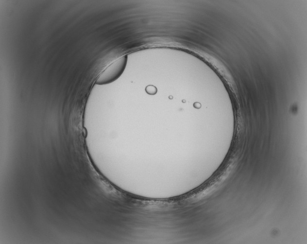X0000116770905201001141448