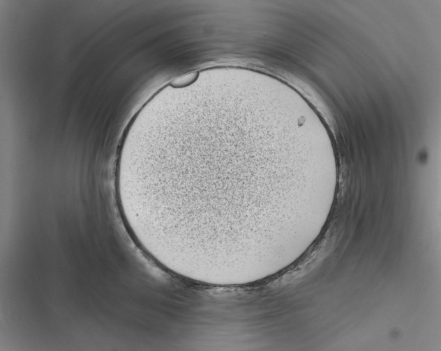 X0000116770906201001141448